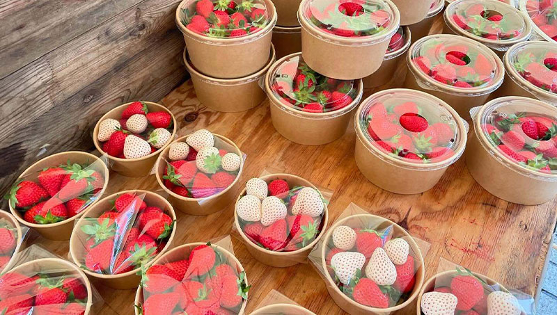 青山ファーマーズマーケット